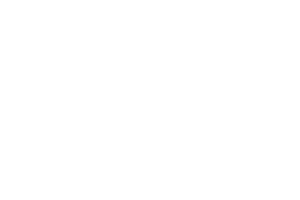 Leadership